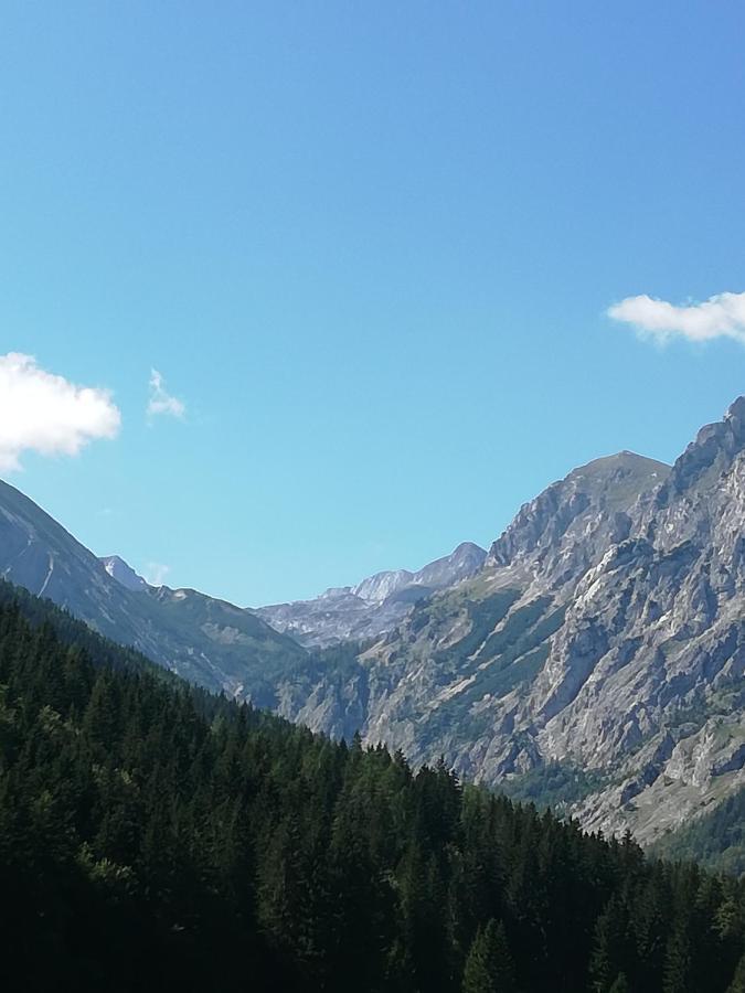 Fruehstueckspension Seeberghof Seewiesen ภายนอก รูปภาพ