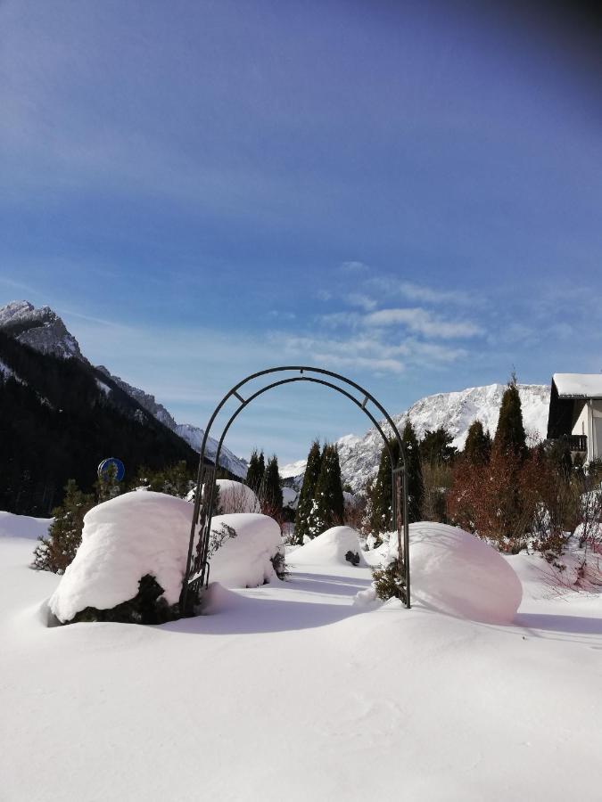 Fruehstueckspension Seeberghof Seewiesen ภายนอก รูปภาพ